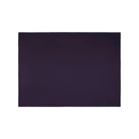 Aker Scarf Purple Women Plain Polyester Scarf