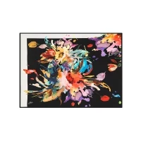 Aker Scarf Black Women Polyester Scarf