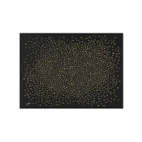 Aker Scarf Black Women Polyester Scarf